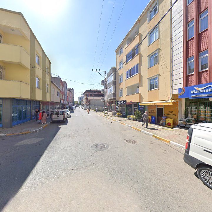Fotoğraf 9