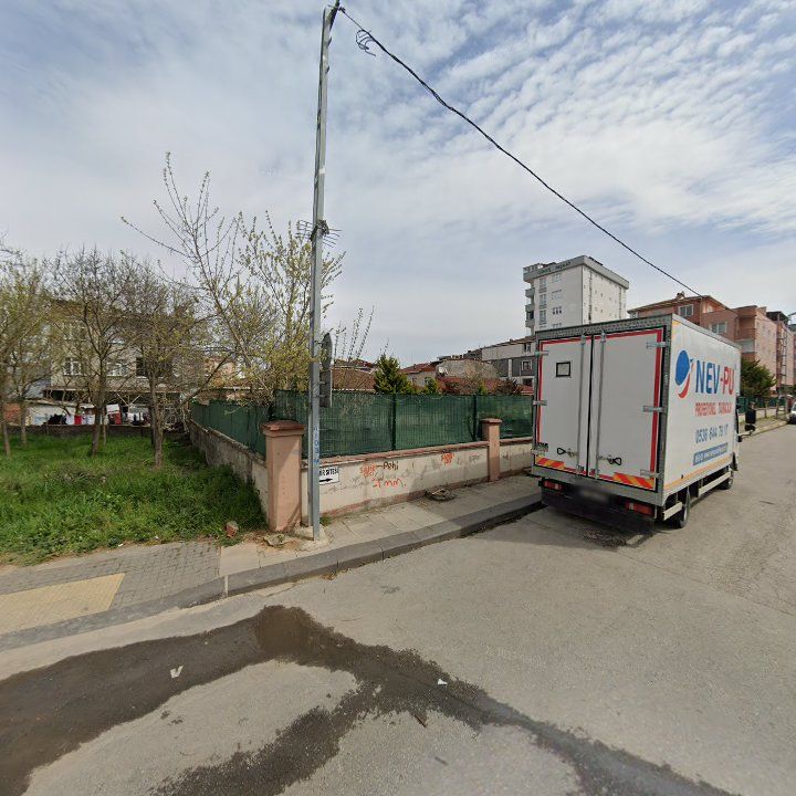 Fotoğraf 12
