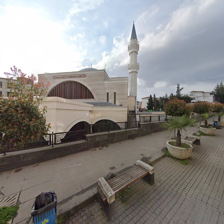 Fotoğraf 10