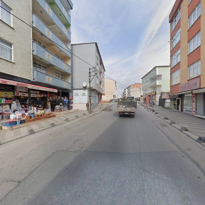 Fotoğraf 9