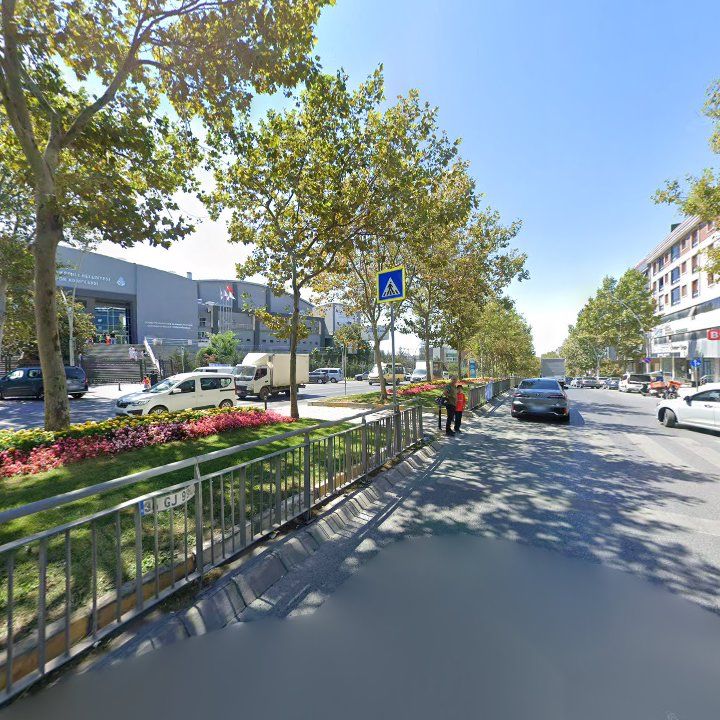 Fotoğraf 8