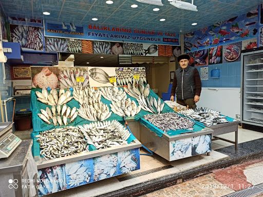 Balıkçı Mavideniz