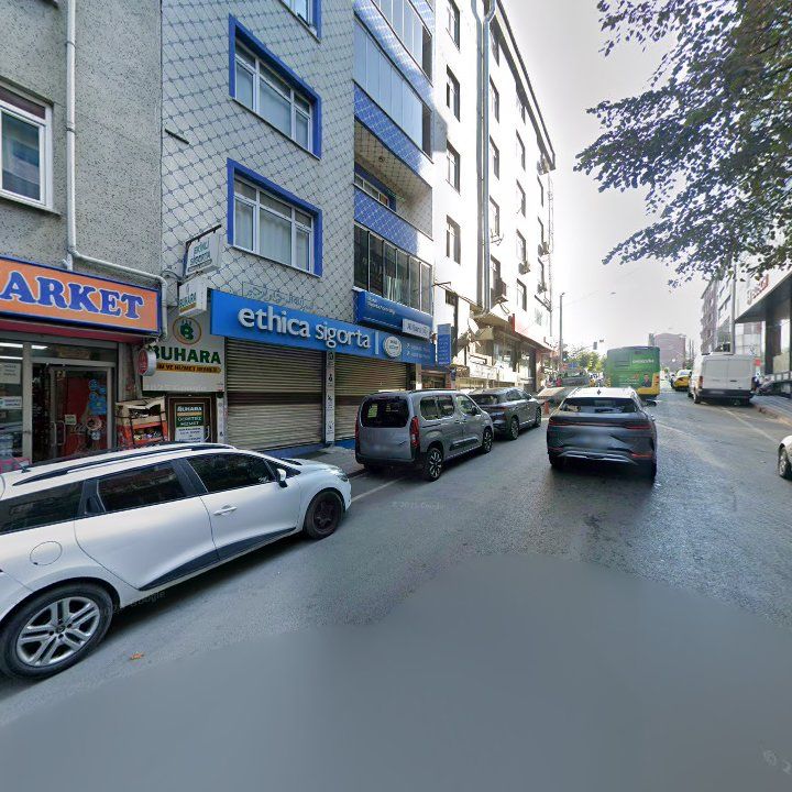 Fotoğraf 12