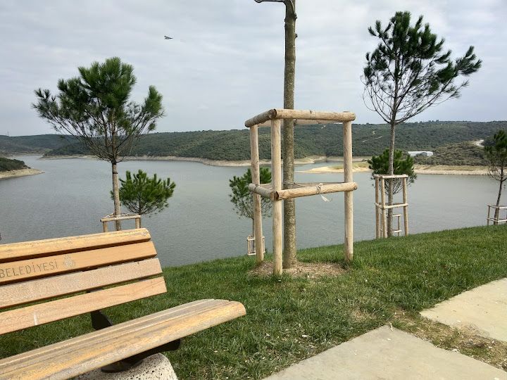 Fotoğraf 60