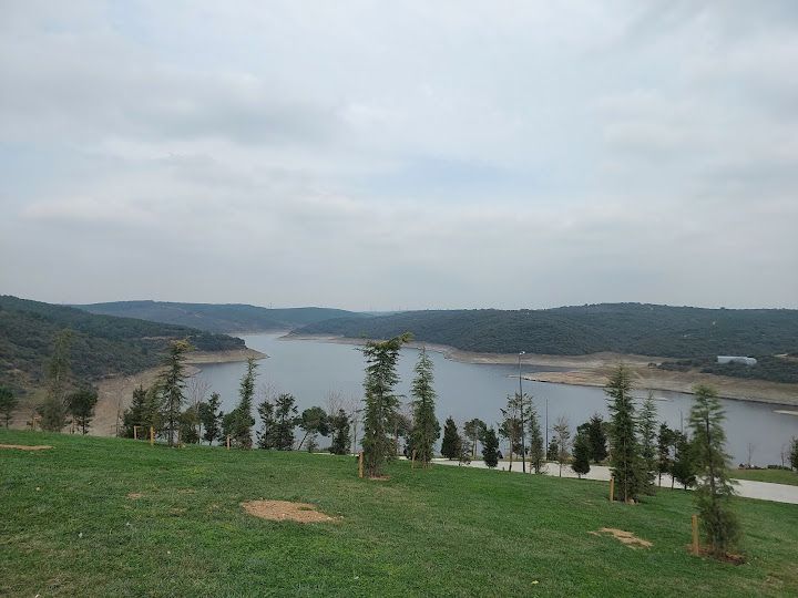 Fotoğraf 24