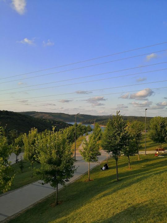 Fotoğraf 48