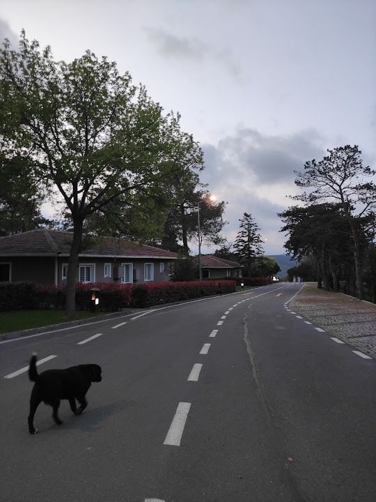 Fotoğraf 51