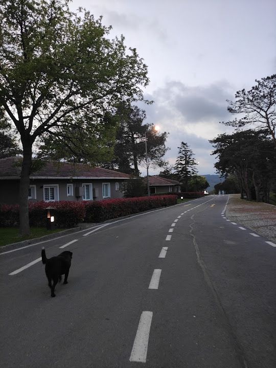 Fotoğraf 54
