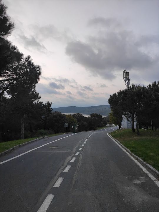 Fotoğraf 53