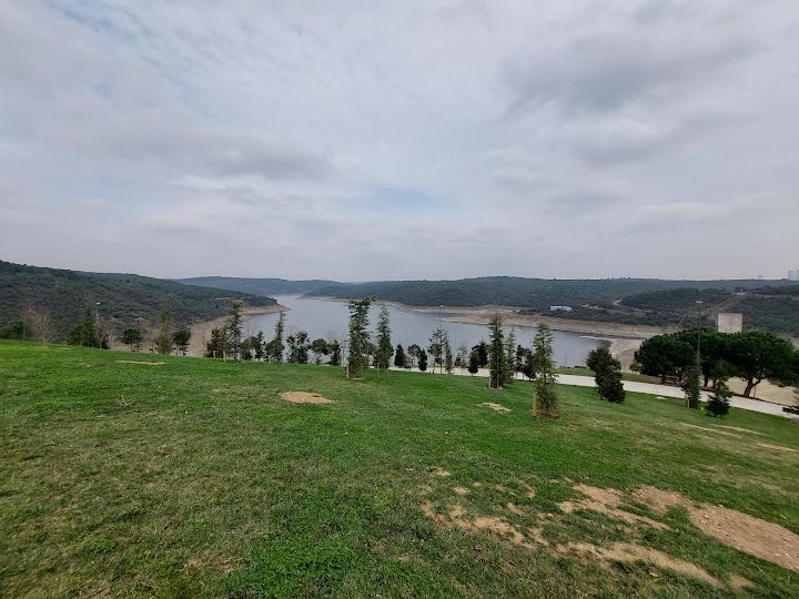 Fotoğraf 43