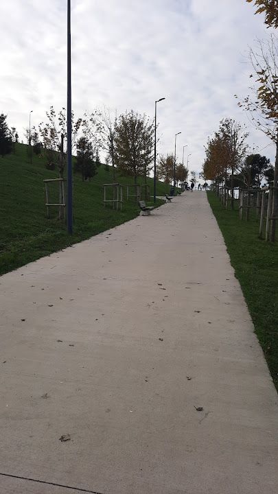 Fotoğraf 14