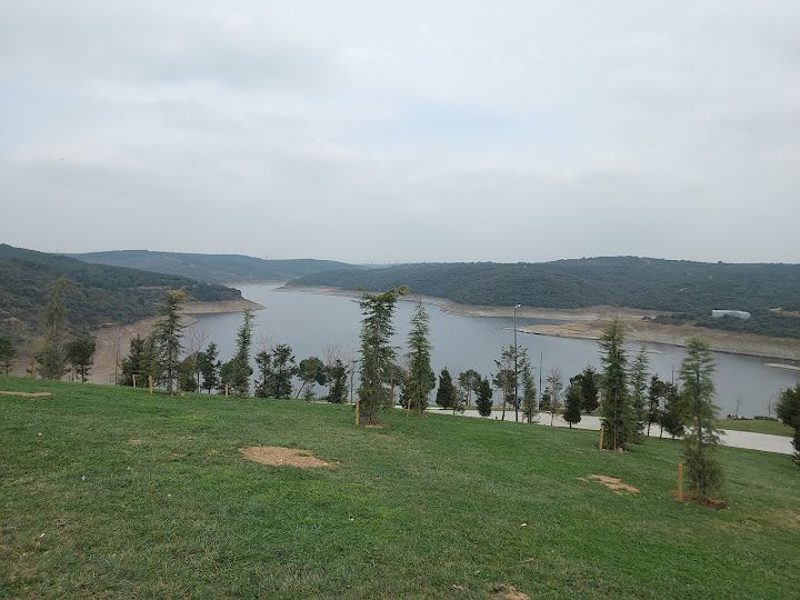 Fotoğraf 42