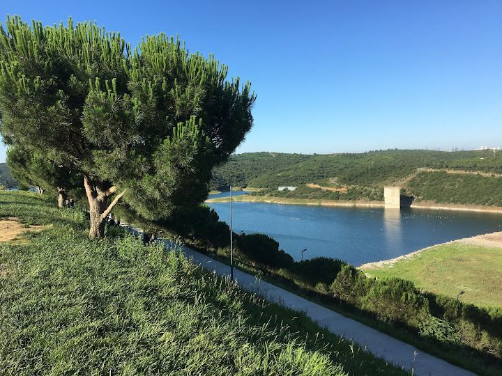 Fotoğraf 46