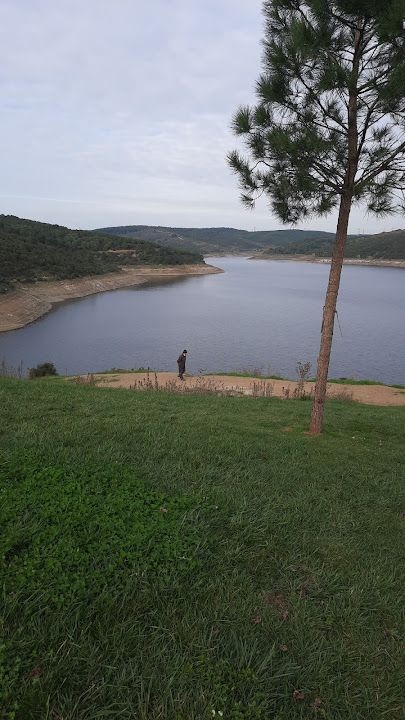 Fotoğraf 15