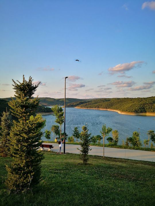 Fotoğraf 49