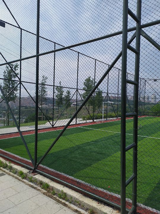 Fotoğraf 56