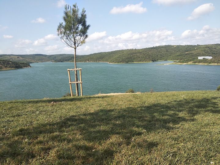 Fotoğraf 59