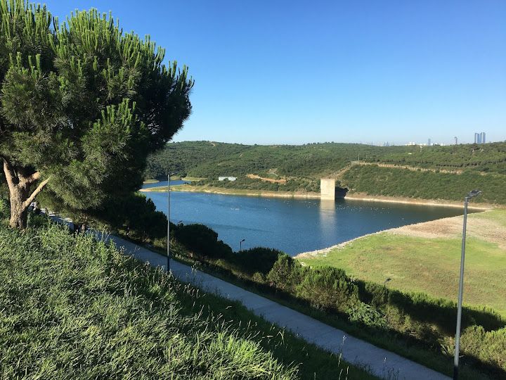 Fotoğraf 45