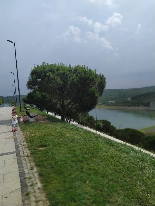 Fotoğraf 57