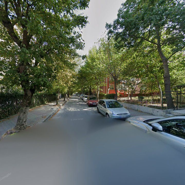 Fotoğraf 12