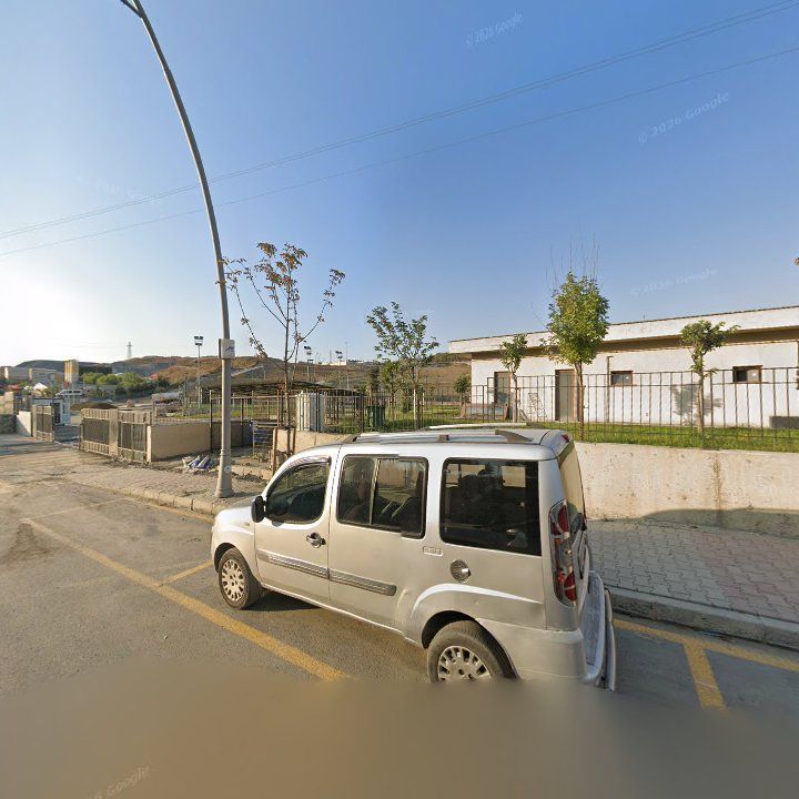 Fotoğraf 11