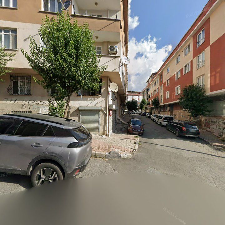 Fotoğraf 8
