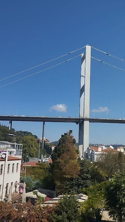 Fotoğraf 15