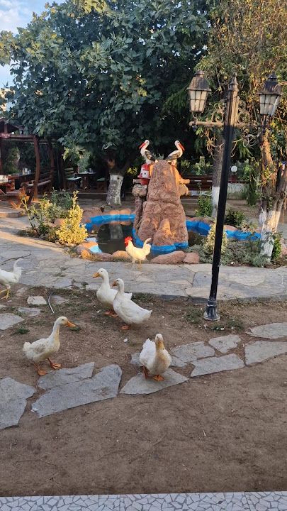 Fotoğraf 34