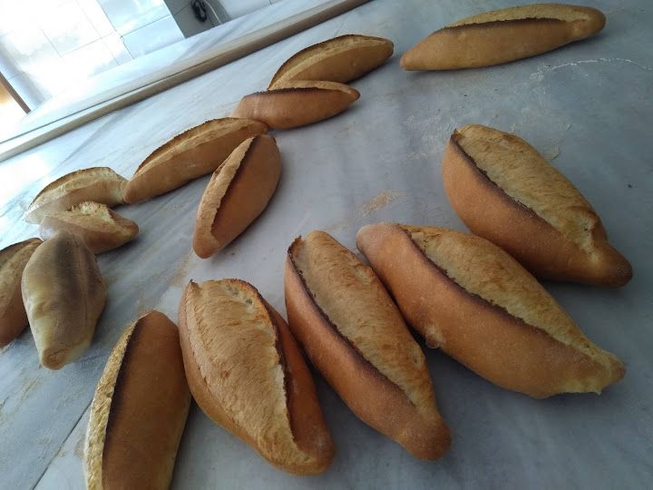 Fotoğraf 16