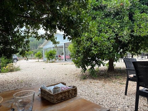 Fotoğraf 36