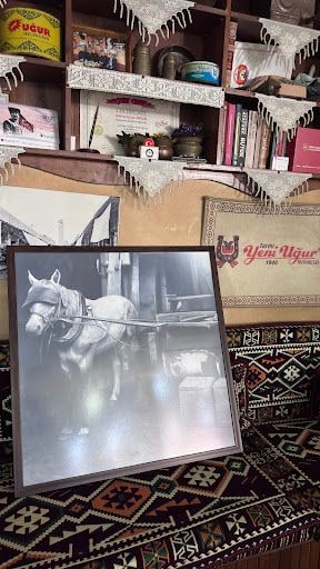 Yorum fotoğrafı 4