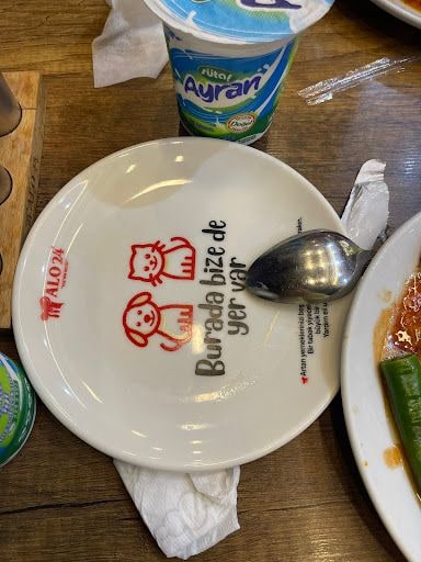 Fotoğraf 19
