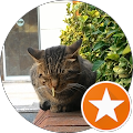 Sümüklü Kedi