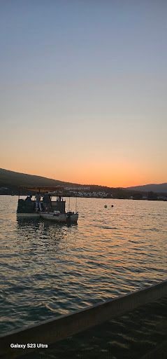 Fotoğraf 21