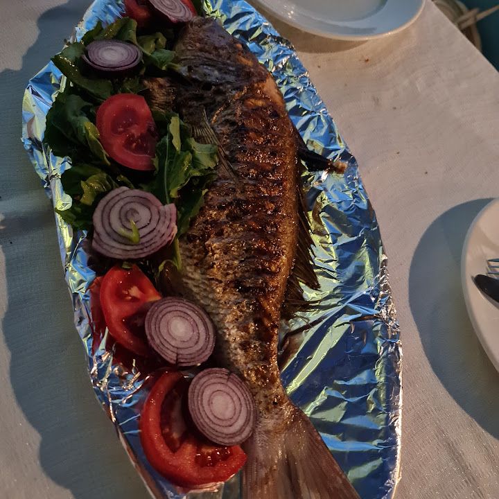Fotoğraf 41