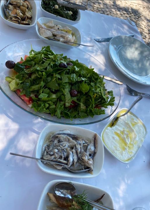 Fotoğraf 31