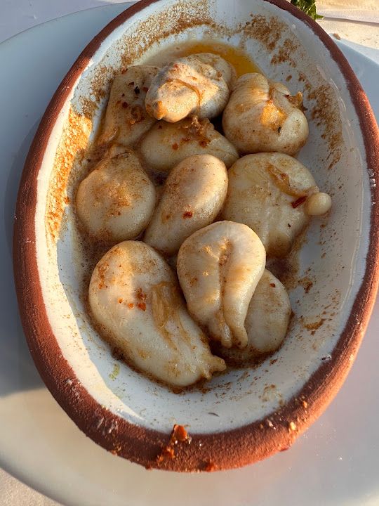 Fotoğraf 49