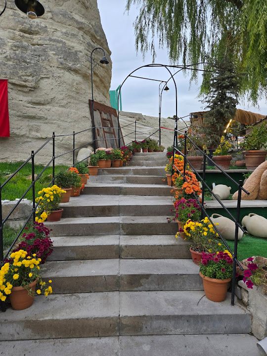 Fotoğraf 29