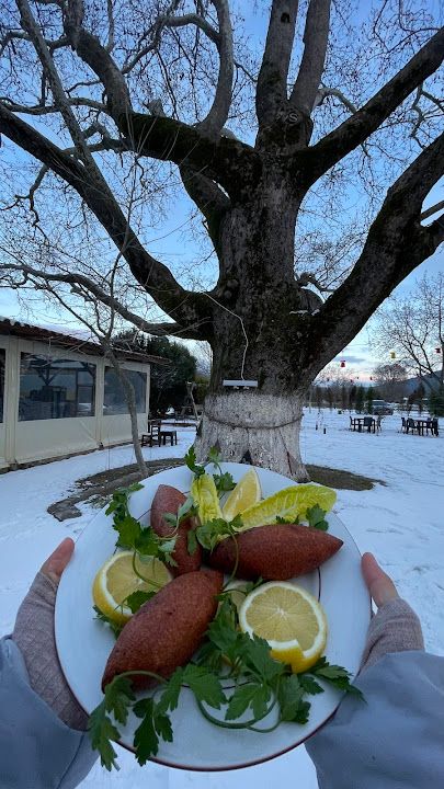 Fotoğraf 45
