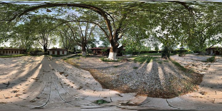 Fotoğraf 34