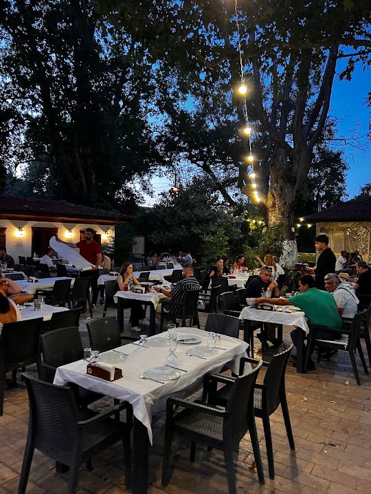 Yorum fotoğrafı 2