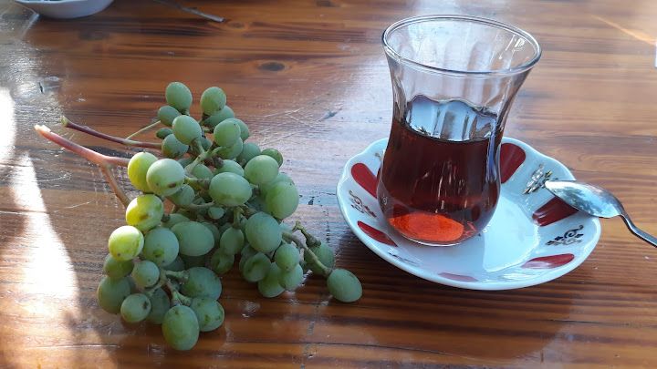 Fotoğraf 22