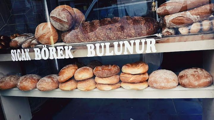 Fotoğraf 12