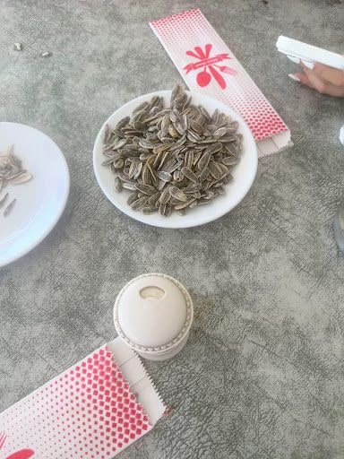 Fotoğraf 21