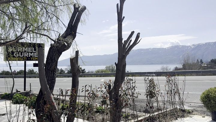 Fotoğraf 21