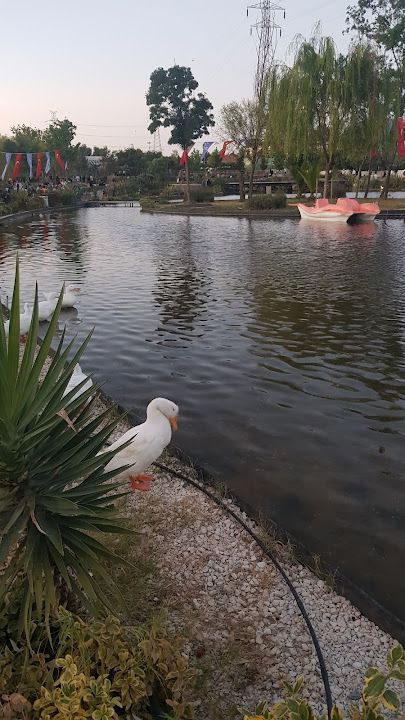 Yorum fotoğrafı 4