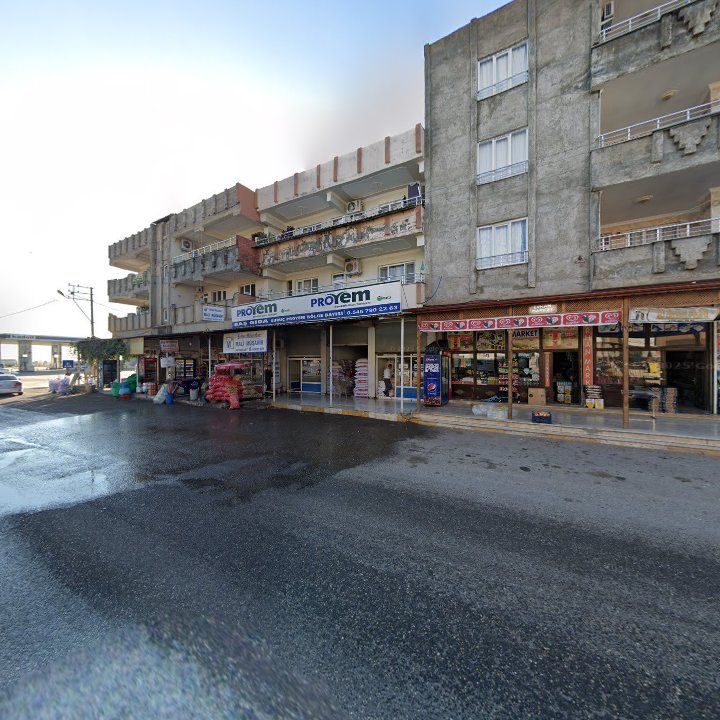 Fotoğraf 10