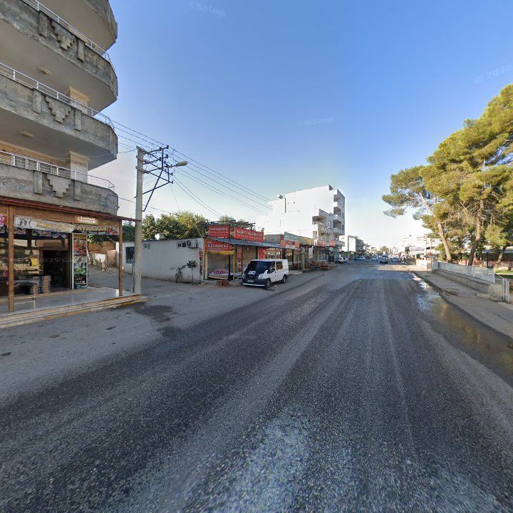 Fotoğraf 7