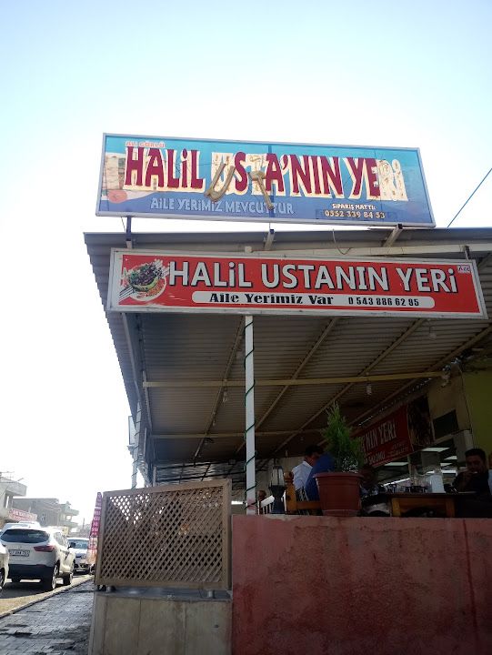 Aligor Ciğer Dünyası