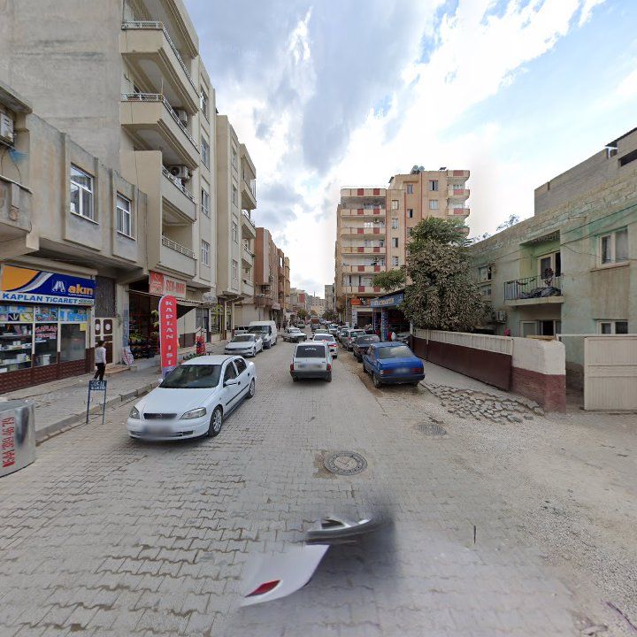 Fotoğraf 3